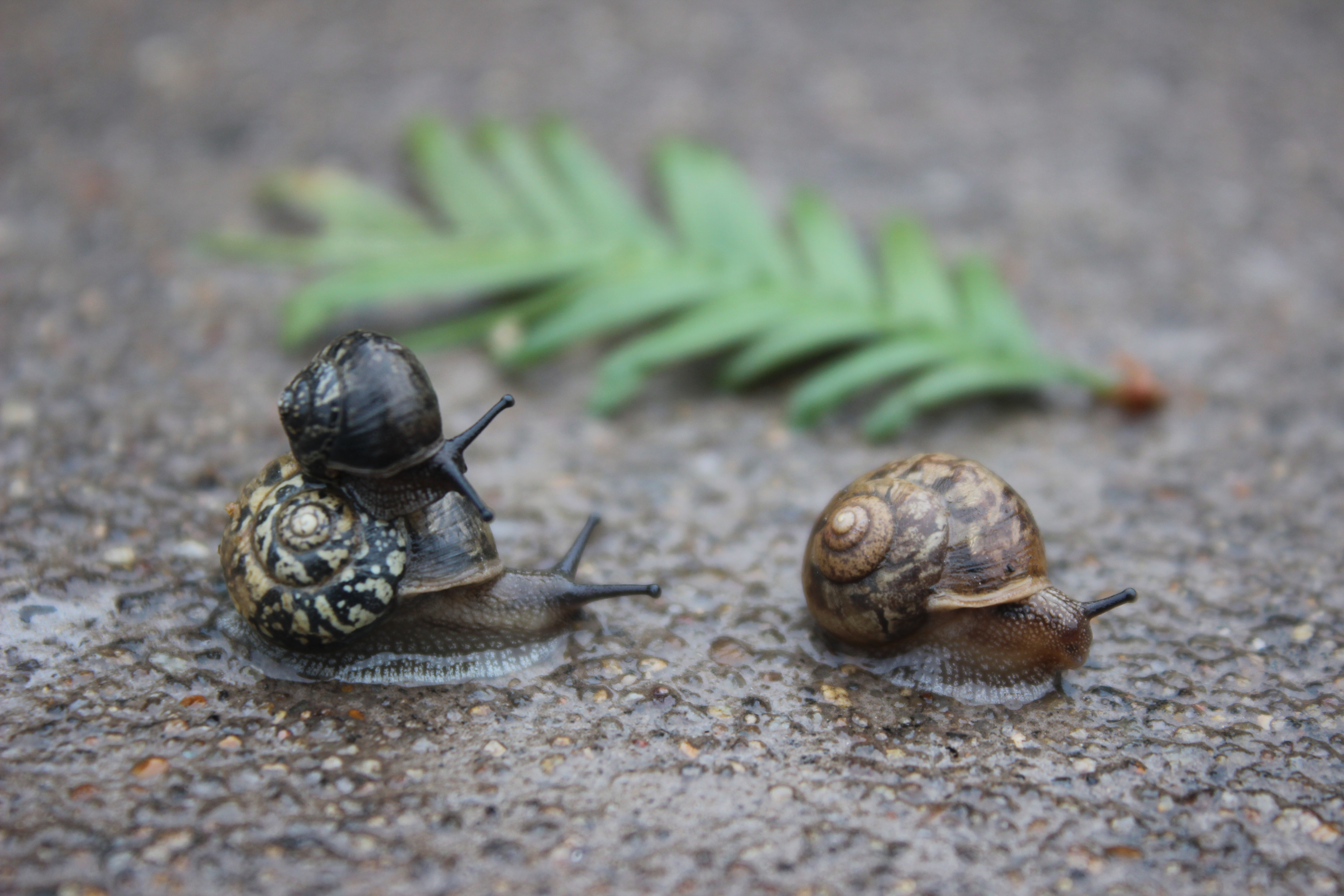 【攝影】爸爸，去哪？